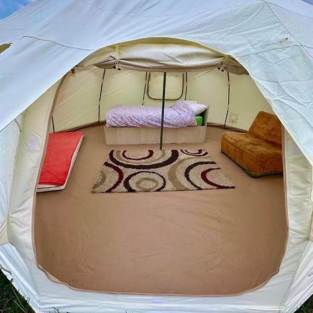Camping La Foisor Torda Kültér fotó