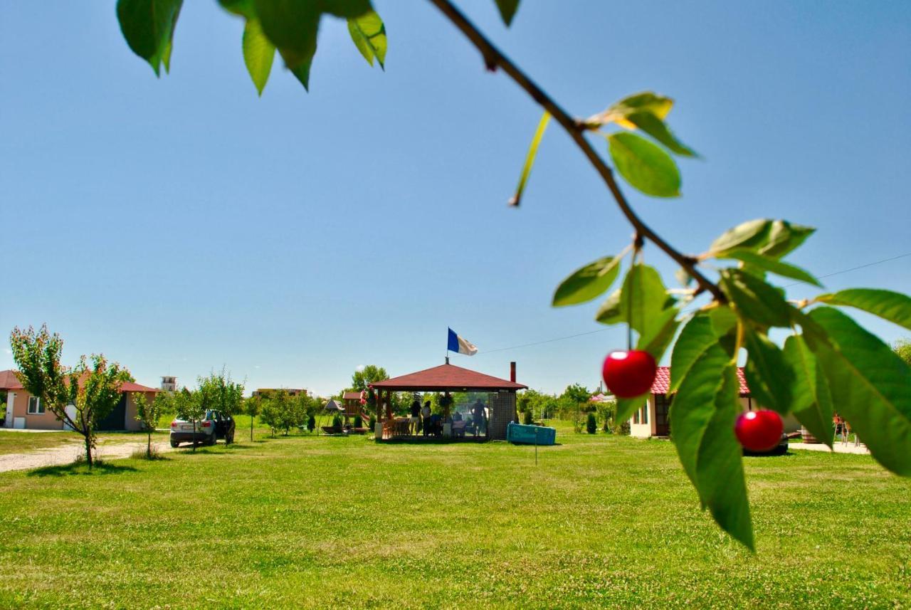 Camping La Foisor Torda Kültér fotó