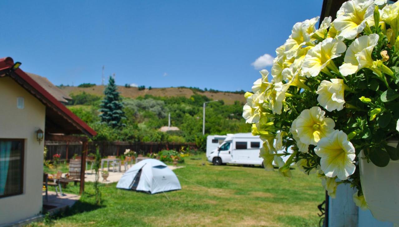 Camping La Foisor Torda Kültér fotó