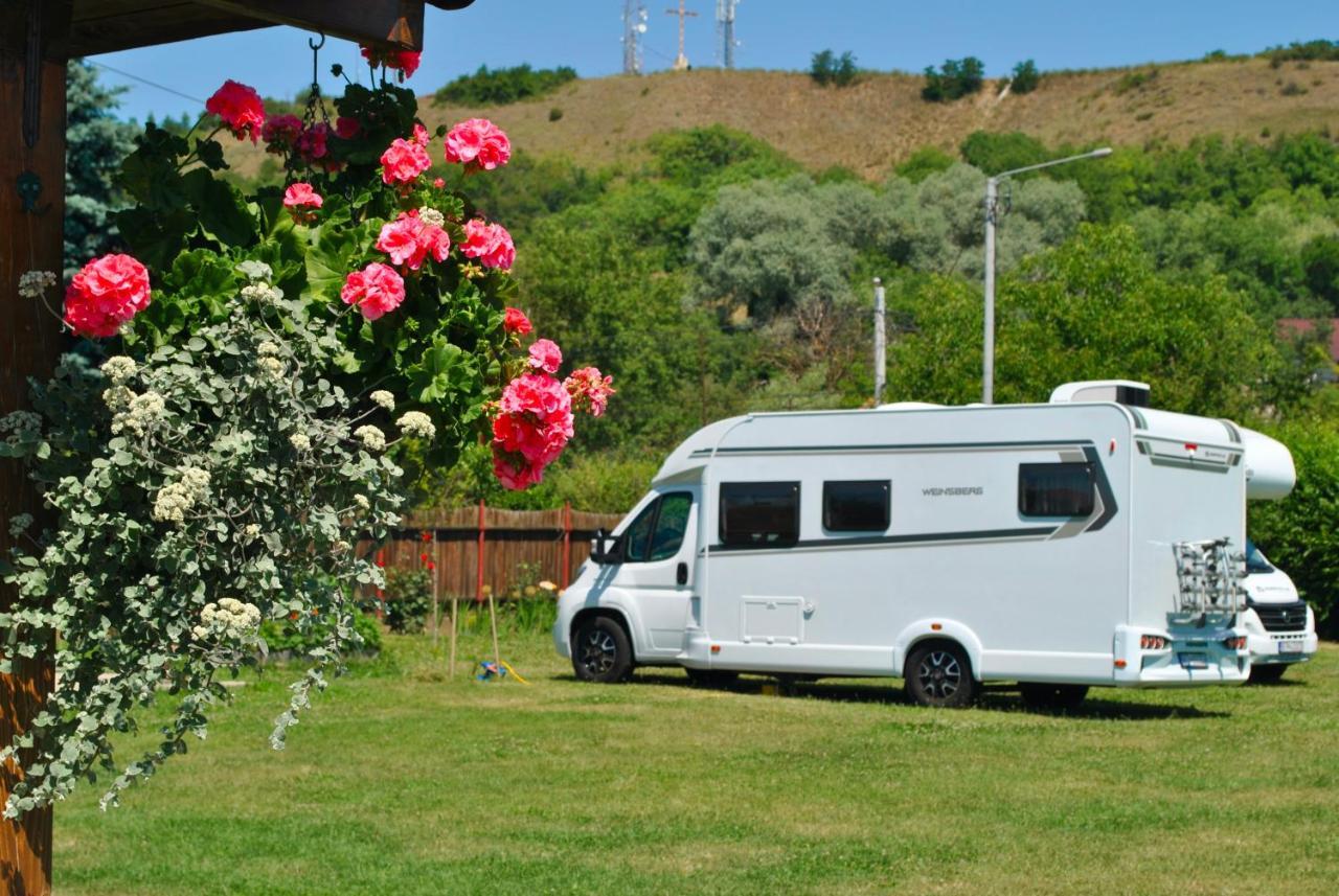Camping La Foisor Torda Kültér fotó