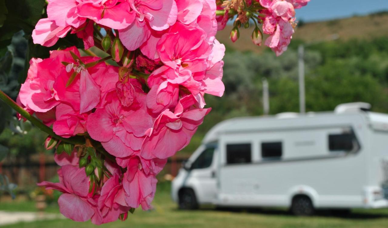 Camping La Foisor Torda Kültér fotó